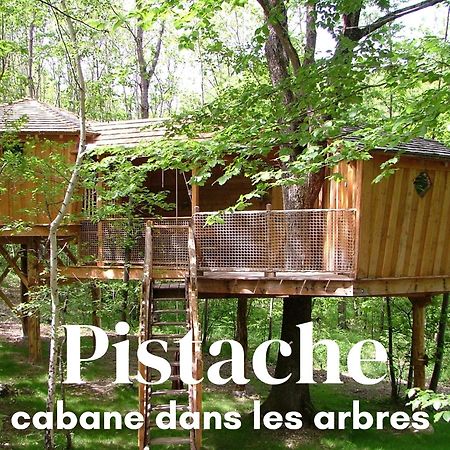 Les Cabanes De Fontfroide Saint-Antoine  外观 照片