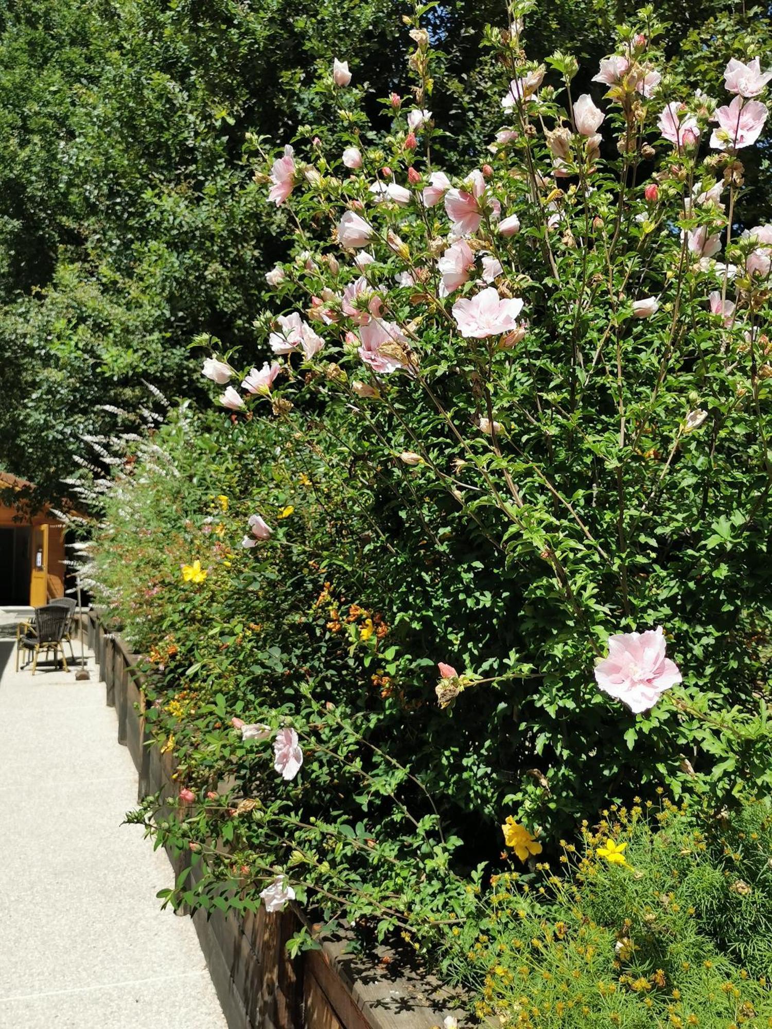 Les Cabanes De Fontfroide Saint-Antoine  外观 照片